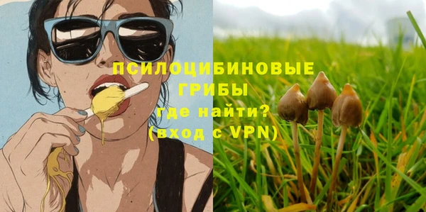 твердый Балахна