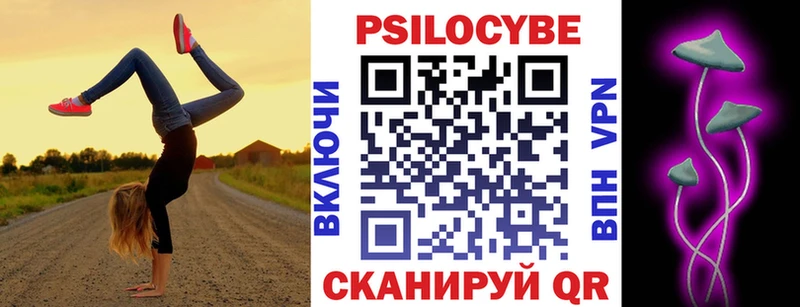 как найти наркотики  Кудрово  Галлюциногенные грибы Psilocybe 